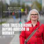 Independent home buying advisors are very uncommon in Norway, but I am one of them