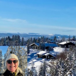 Why the Norwegian Cabin Market Is Currently Favouring Buyers